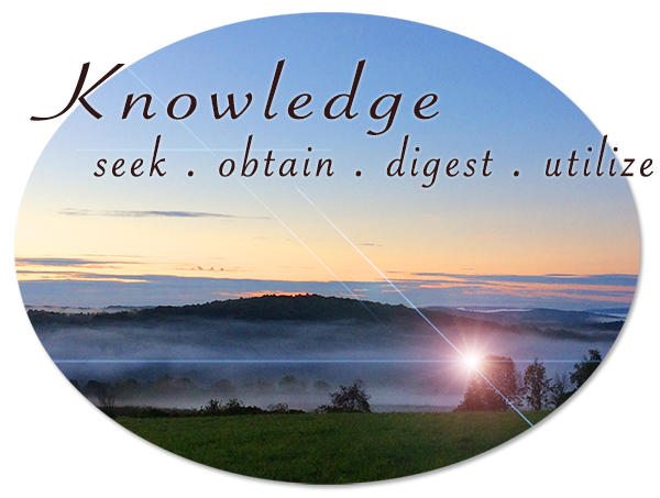 knowledge ...seek . obtain . digest . utilize